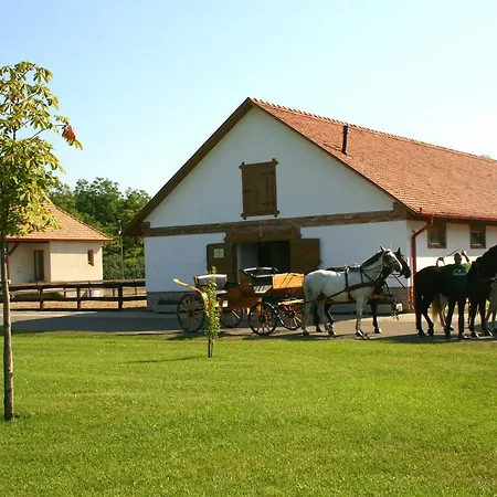Arbo Pensjonat