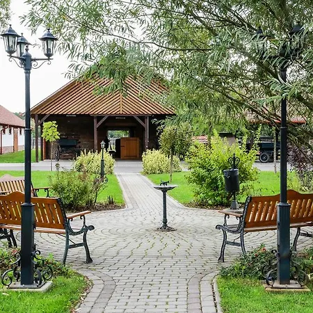Arbo Debrecen