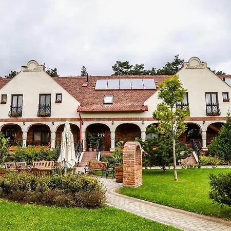 Arbo * Debrecen
