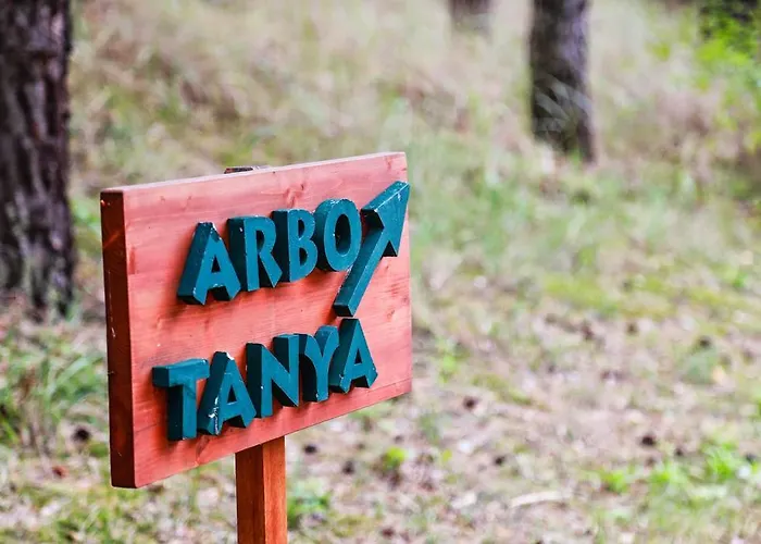 Arbo *